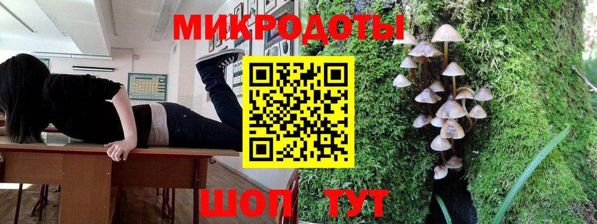 Псилоцибиновые грибы мухоморы Сосновый Бор